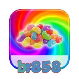 br858